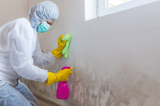 Best Mold Prevention Services  in Cleveland, OH